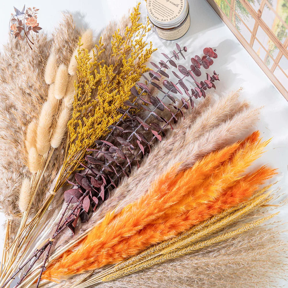 60 pezzi di fiori secchi di er - Eucalyptus Preserved recensione e prezzo