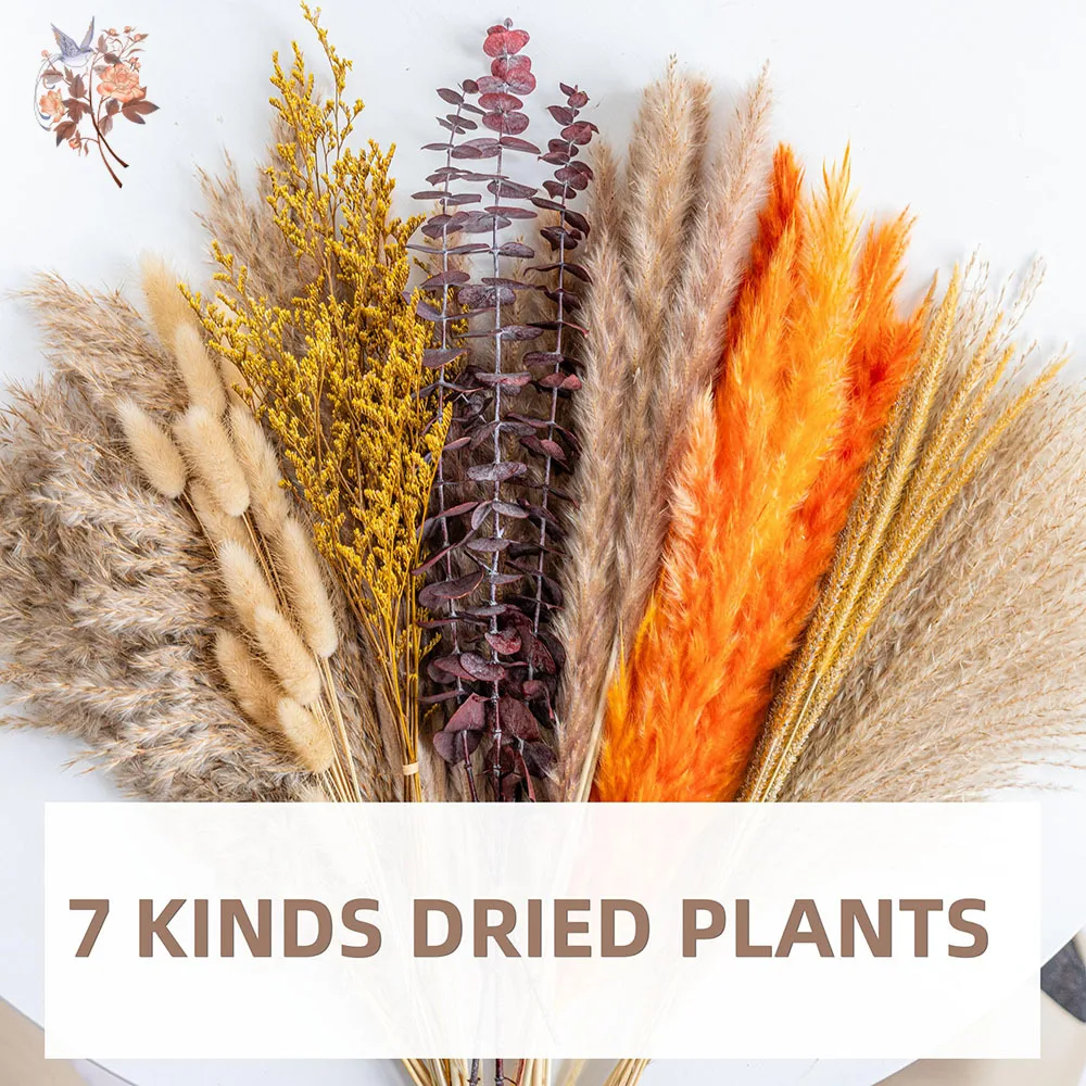 60 pezzi di fiori secchi di er - Eucalyptus Preserved recensione e prezzo