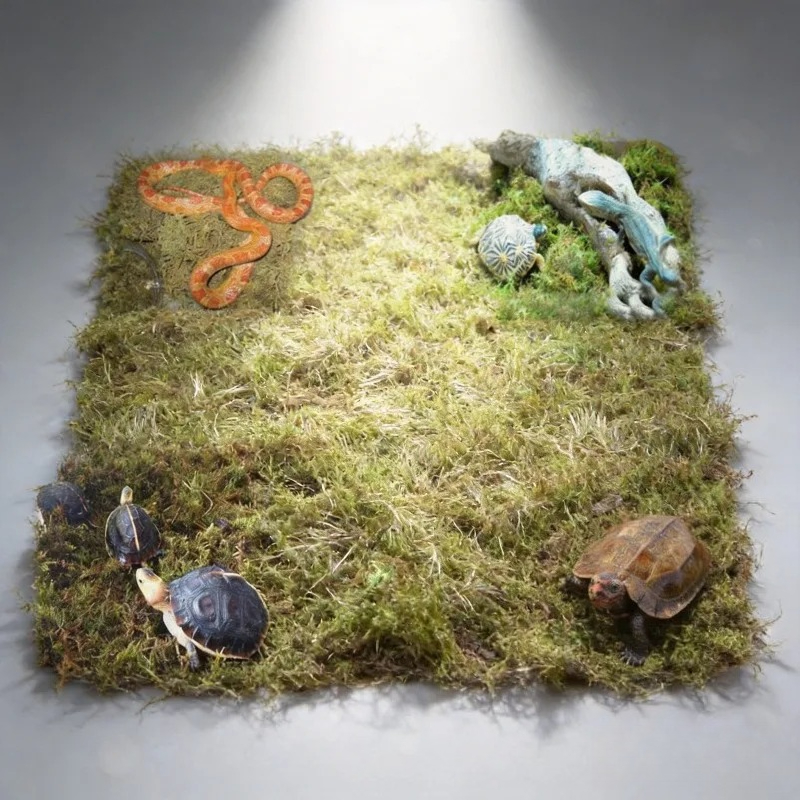 Muschio Naturale Essiccato per - Preserved Moss Sheet recensione e prezzo